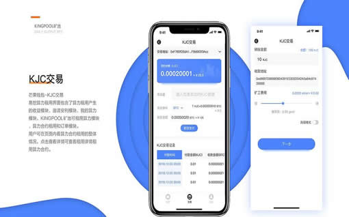 TP 钱包币种选择与囤币策略tp钱包里的币会涨或会跌吗?,TP 钱包币种选择及囤币策略探讨